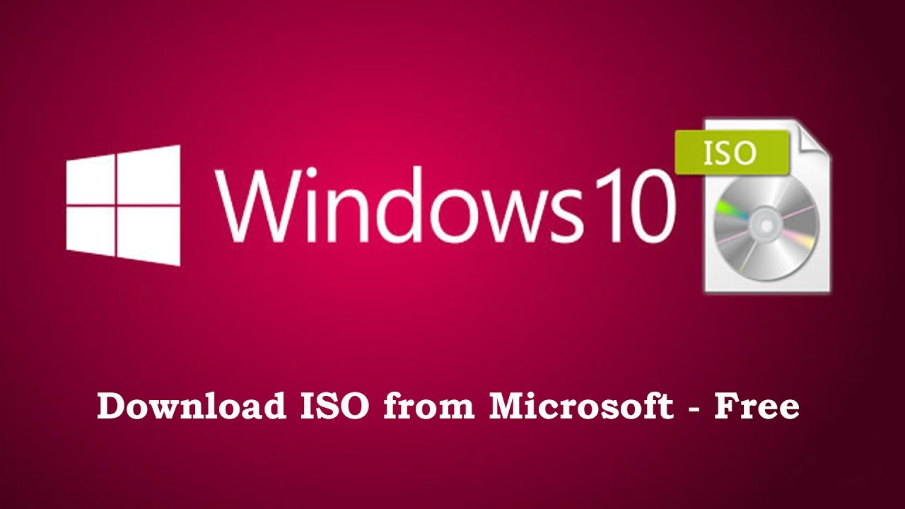 windows 10 live iso